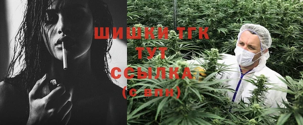 скорость Новозыбков