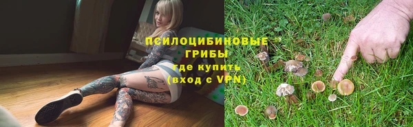 apvp Новодвинск